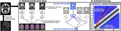 Ten Years of BrainAGE as a Neuroimaging Biomarker of Brain Aging: What Insights Have We Gained?